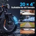 Aairsk X5 电动自行车 20 英寸宽轮胎
